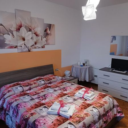Quo Vadis Qui Vieni Rovigo Quarto foto