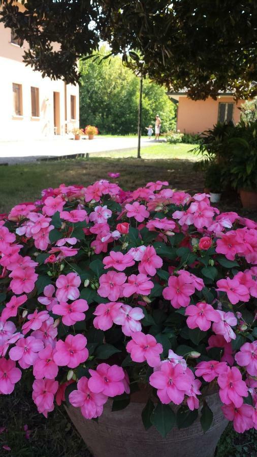 Quo Vadis Qui Vieni Rovigo Exterior foto