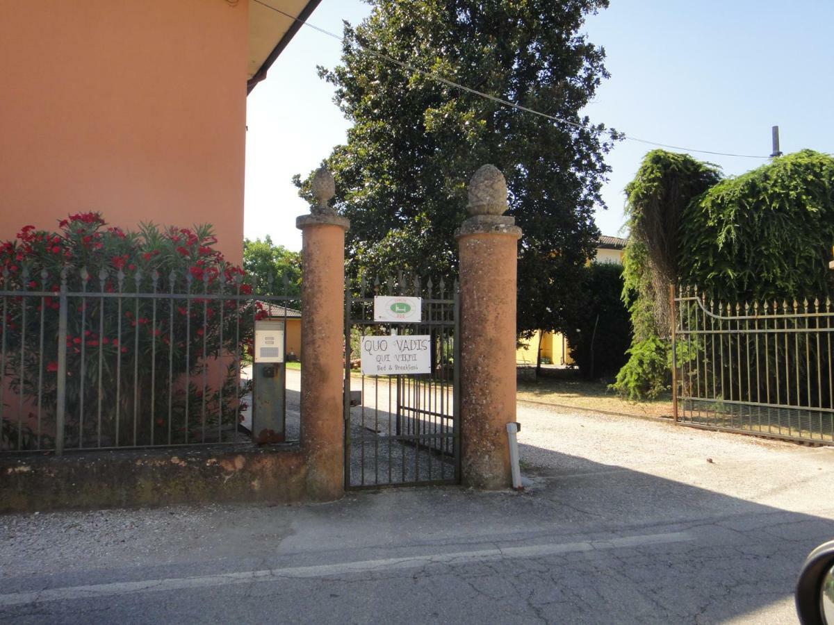 Quo Vadis Qui Vieni Rovigo Exterior foto